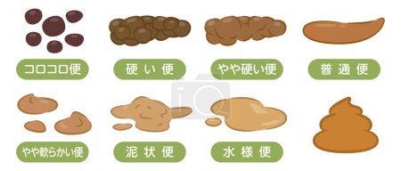 Ilustración vectorial simple de varias cacas. "Rolly, hard, slightly hard, normal, slightly soft, muddy, watery" están escritos en japonés.