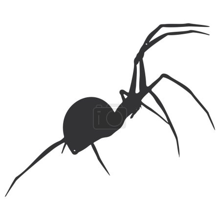 Illustration for Spider vector icon isolated on white background - Royalty Free Image