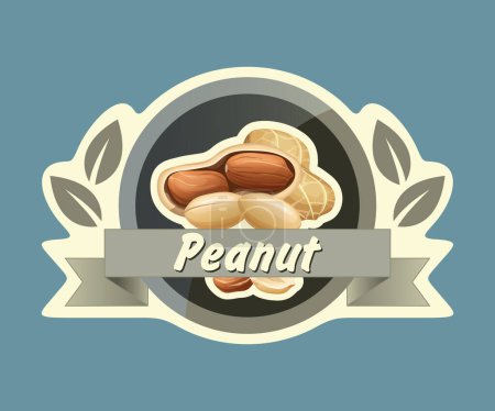 peanut vector sticker isolated