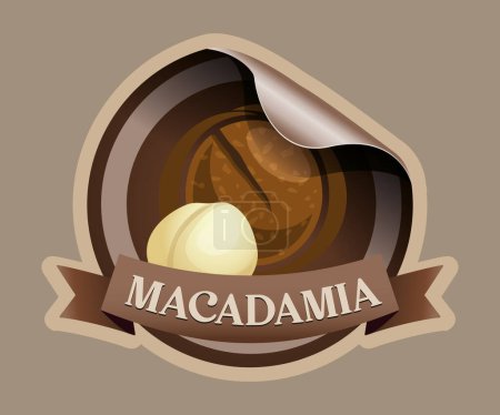 Macadamia nut vector sticker isolated on white background