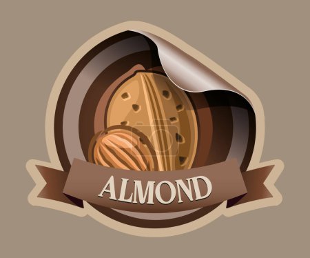 Almond nut vector sticker isolated on white background