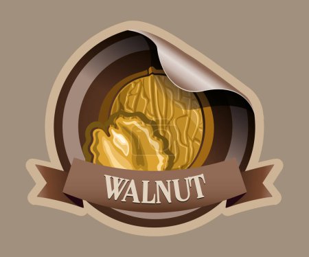 Walnut vector sticker isolated on white background