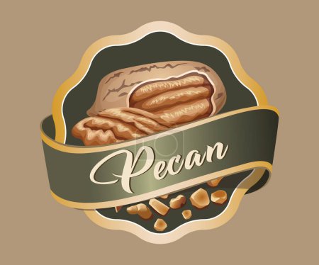 pecan nut vector sticker isolated on white background