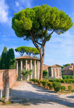 Foto de Vista urbana de Roma: el templo circular de Ercules Victor cerca del pequeño templo rectangular de Portunus en el Foro Boarium, Italia. - Imagen libre de derechos