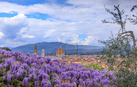 Blick auf Florenz im Frühling: Kathedrale Santa Maria del Fiore vom Bardini-Garten aus gesehen mit typischen blühenden Glyzinien.