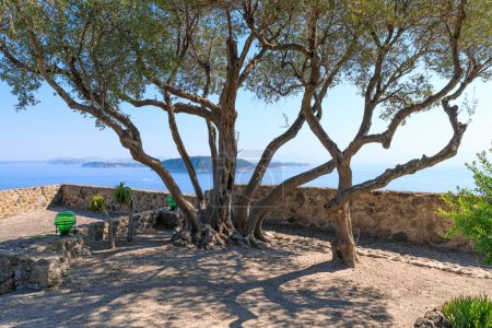 Téléchargez les photos : Vue sur la côte de Procida depuis un jardin évocateur sur l'île d'Ischia, Italie. - en image libre de droit