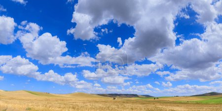 Hilly landscape with wheat field dominated for clouds in Apulia, Italy.