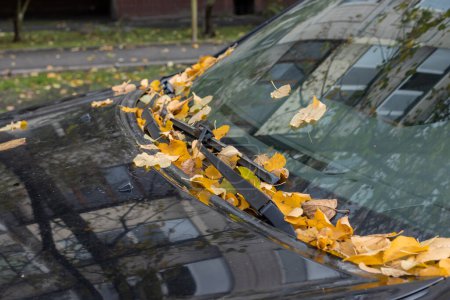 Photo for Autumn leaves in selective focus on car wipers and hood. Autumn leaf fall. October, september, november. - Royalty Free Image