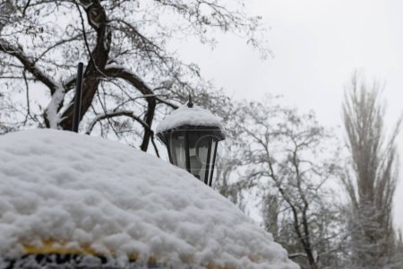 Lámparas de calle vintage en un parque cubierto de nieve de invierno.