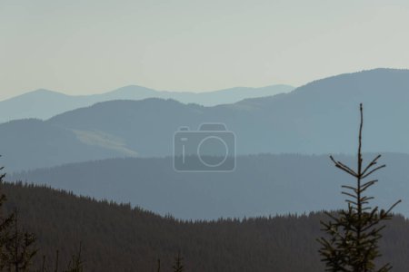 Photo for Embrace the rugged beauty of the mountains, where adventure meets serenity in the heart of the wilderness. - Royalty Free Image