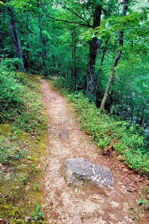 Photo for A well worn foot path on the shores of Noblett Lake leads into the Mark Twain National Forest in the southern Missouri Ozark Hills. - Royalty Free Image