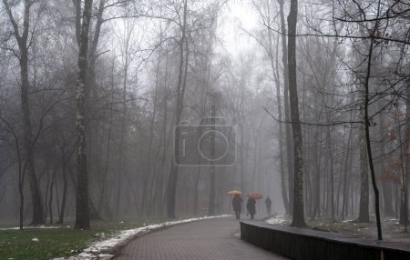 Téléchargez les photos : Matin brumeux dans le parc. Météo pluvieuse dans la ville d'hiver. Photo de haute qualité - en image libre de droit