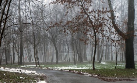 Téléchargez les photos : Matin brumeux dans le parc. Météo pluvieuse dans la ville d'hiver. Photo de haute qualité - en image libre de droit