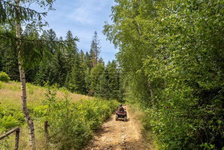 Téléchargez les photos : Un homme conduit un VTT sur un chemin de terre dans la forêt par une journée d'été ensoleillée. Un homme conduit un VTT. Fond sportif naturel, fond d'activité naturelle. Photo de haute qualité - en image libre de droit