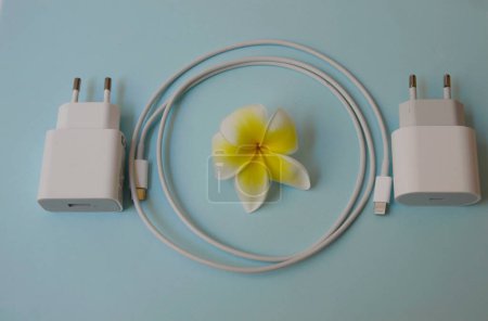 Téléchargez les photos : Plumeria fleur sur fond bleu et un adaptateur pour le yusb. Cordon d'éclairage. Concept d'énergie écologique, mini USB Hub Extensions d'économie d'énergie, 4 ports USB 3.0 - en image libre de droit