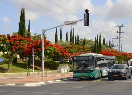Téléchargez les photos : Israël. Rishon Lezion. 19 juin 2023. Bus vert oeuf, logo en gros plan. Transports publics israéliens. Bus de passagers. Traduction : "Mall" - en image libre de droit
