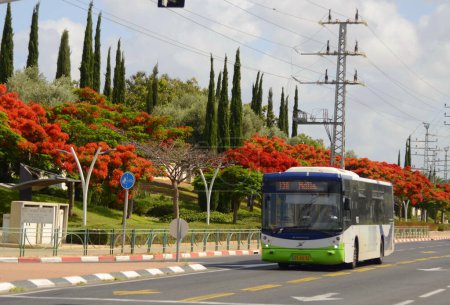 Téléchargez les photos : Israël. Rishon Lezion. 19 juin 2023. Bus vert oeuf, logo en gros plan. Transports publics israéliens. Bus de passagers. Traduction : "Mall" - en image libre de droit