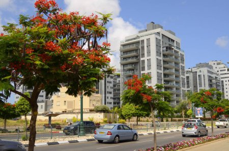 Photo for Israel. Rishon Le Zion June 18, 2023. Flowering streets, modern residential area. Flame tree on street. Investments in real estate - Royalty Free Image