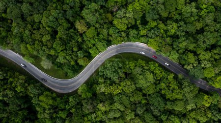 Foto de Vista aérea del bosque verde con coche en la carretera de asfalto, Coche en coche en la carretera en medio de los árboles del bosque, Camino del bosque pasando por el bosque con coche. - Imagen libre de derechos