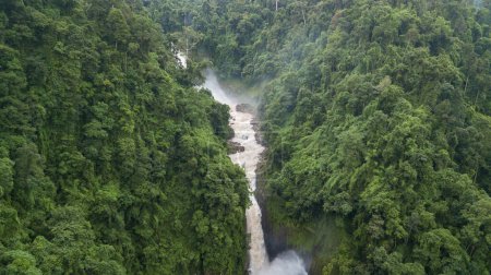Foto de Vista aérea Cascada Haew Narok, Parque Nacional Khaoyai, Cascada Heawnarok la hermosa cascada en el Parque Nacional Khoayai, Tailandia. - Imagen libre de derechos