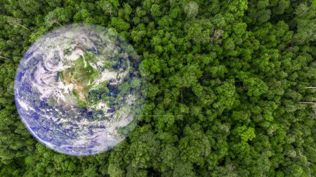 Luftaufnahme asiatischer tropischer Regenwald grüner Waldbaum mit Globus-Planet, tropischer Dschungel-Wald grüner Globus-Planet in den Händen, Erde retten, Umweltkonzept.