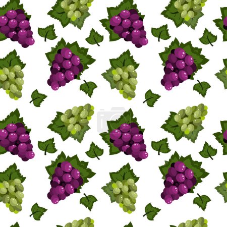 Illustration for Vector grape violet seamless pattern. Vector illustration - Royalty Free Image
