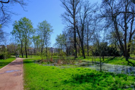 Frühling Blick auf Bäume, Gras und Wasser Paddel im Luzanky Park in Brünn in der Tschechischen Republik
