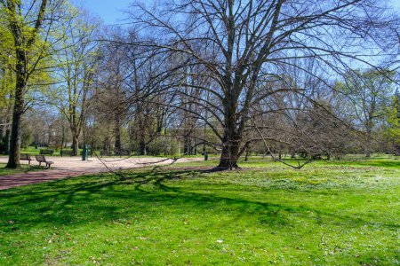 Frühling Blick auf Bäume und Gras im Luzanky Park in Brünn in der Tschechischen Republik
