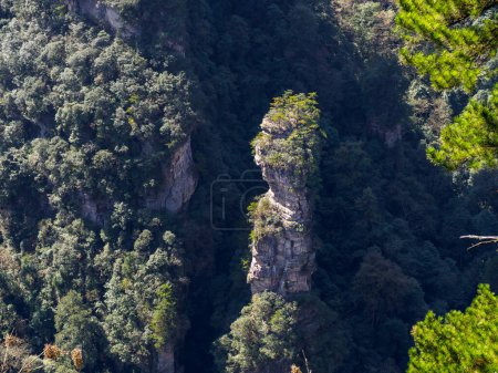 Téléchargez les photos : Vue sur les montagnes Avatar, parc forestier national de Zhangjiajie, Chine. Ce parc national a inspiré le film Avatar. - en image libre de droit