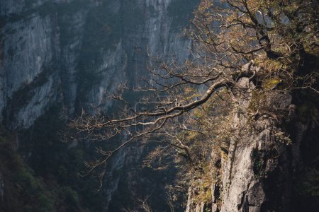 Tian-Men-Shan: Zhangjiajie China - ca. Oktober 2023: Landschaft Natur des Himmelstores oder Tianmen Höhle im Tianmen Mountain Landmark National Park von Zhangjiajie, Hunan, China.
