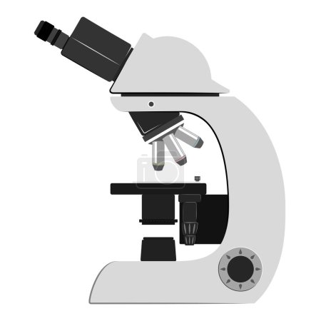 Illustration for A microscope illustration. The microscope is a scientific equipment that magnifies things by using lenses. In biology, it is often employed to investigate tiny organisms and tissues. - Royalty Free Image
