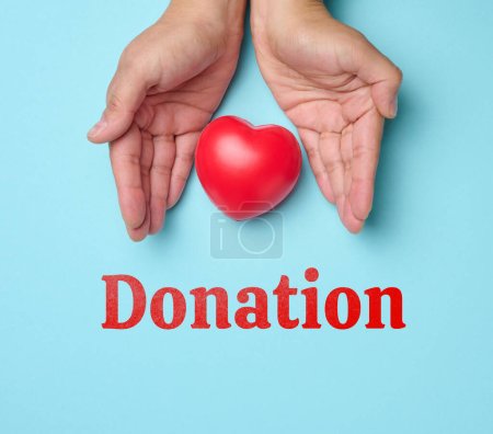 Photo for Female hands holds red heart, blue background. Love and donation concept, top view - Royalty Free Image