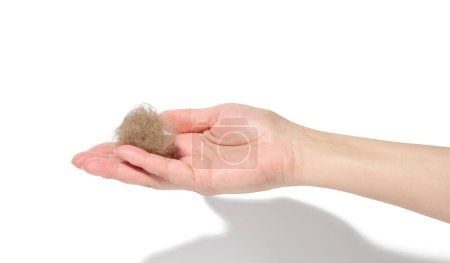 Foto de A woman's hand holds a tuft of gray cat hair on a white isolated background - Imagen libre de derechos