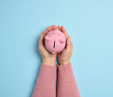 Photo for Female hands hold a pink ceramic piggy bank against a blue background, symbolizing the concept of saving money - Royalty Free Image