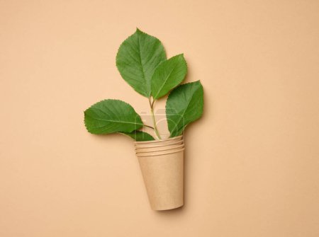 Foto de Montón de vasos de cartón desechables de papel marrón sobre fondo beige y hojas verdes, vista superior - Imagen libre de derechos