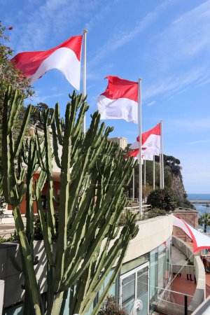 Foto de Mónaco, Mónaco - 19.03.2023: Banderas de Mónaco ondeando en el viento cerca de la roca con el castillo de Grimaldi - Imagen libre de derechos