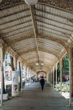 Foto de Vichy, Francia - 18 de junio de 2023: Paseos famosos (dosel para caminar) en el Parc des Sources de Vichy - Imagen libre de derechos