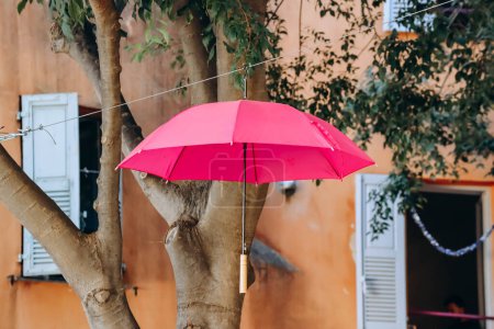 Foto de Famosos paraguas rosados decorando las calles centrales de Grasse - Imagen libre de derechos