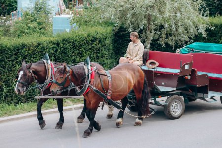 Téléchargez les photos : Schwangau, Allemagne - 12 août 2023 : Le cocher conduit une voiture avec des chevaux au célèbre château de Hohenschwangau en Bavière, Allemagne du Sud - en image libre de droit