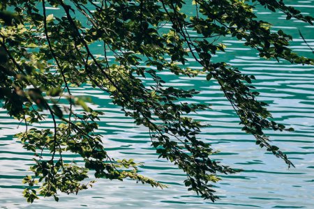Téléchargez les photos : Vue du lac Alatsee en Bavière, Allemagne - en image libre de droit