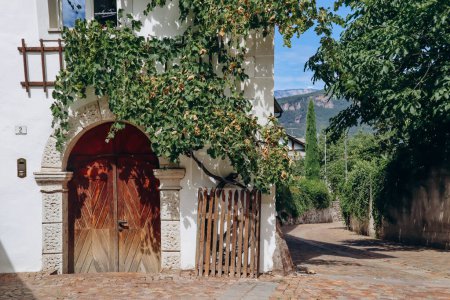 Téléchargez les photos : Sentier du Pinot Noir - le sentier du vin et de la culture est situé dans la célèbre région du Pinot Noir, en bordure du Parc Naturel du Monte Corno - en image libre de droit