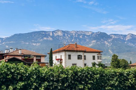 Foto de Pinot Noir Trail - el sendero del vino y la cultura se encuentra en la famosa zona de Pinot Noir, en el borde del Parque Natural de Monte Corno - Imagen libre de derechos
