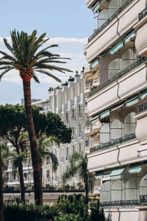 Téléchargez les photos : Cannes, France - 3 août 2023 : Vue de la Croisette dans le centre de Cannes - en image libre de droit