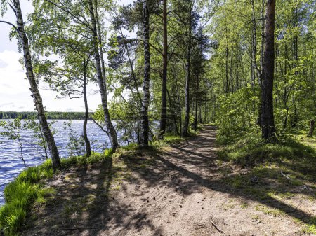 Foto de Hermoso paisaje en los lagos de Vsevolozhsk, en la región de Leningrado en el noroeste de Rusia - Imagen libre de derechos