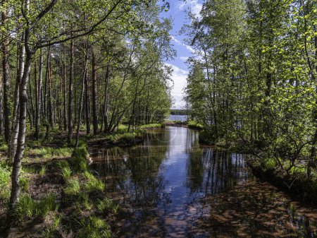 Foto de Hermoso paisaje en los lagos de Vsevolozhsk, en la región de Leningrado en el noroeste de Rusia - Imagen libre de derechos