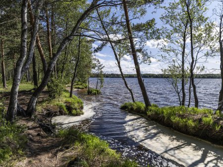 Téléchargez les photos : Beau paysage sur les lacs de Vsevolozhsk, dans la région de Leningrad dans le nord-ouest de la Russie - en image libre de droit