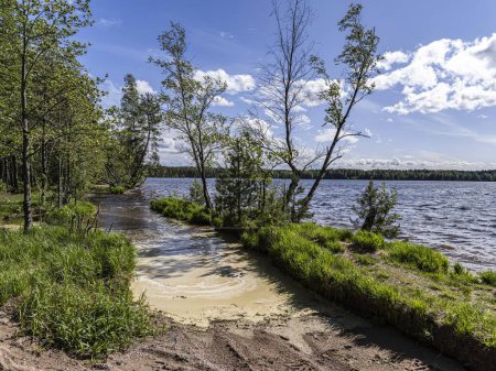 Téléchargez les photos : Beau paysage sur les lacs de Vsevolozhsk, dans la région de Leningrad dans le nord-ouest de la Russie - en image libre de droit