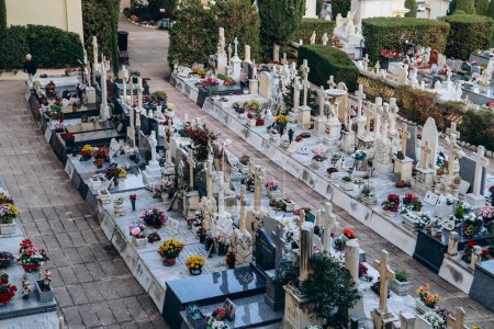Mónaco, Mónaco - 18 de noviembre de 2023: Vista del antiguo cementerio del Principado de Mónaco
