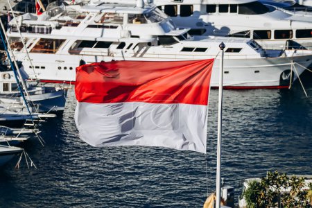 Mónaco, Mónaco - 20 de enero de 2024: Bandera de Mónaco en Port Hercule