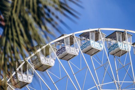 Ferris wheel and palm leaves, in Nice, South of France